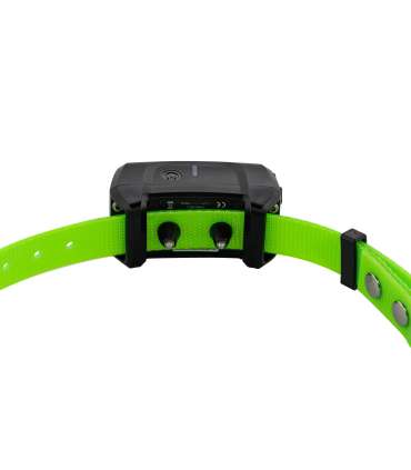 Pack Canicom 1500 pour 3 chiens | Num'Axes