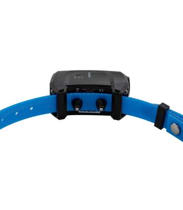 Pack Canicom 1500 pour 3 chiens | Num'Axes
