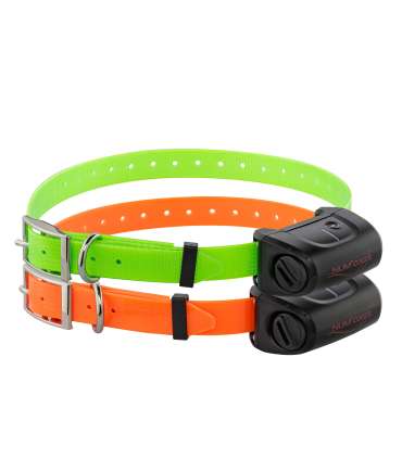 Pack Canicom 5.800 pour deux chiens | Num'Axes