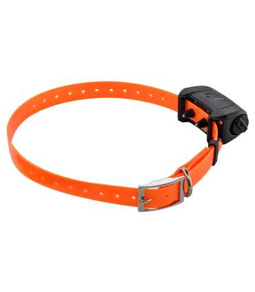 Pack Canicom 5.800 pour deux chiens | Num'Axes