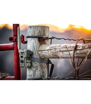 Caméra de chasse cellulaire FLEX-M | SPYPOINT