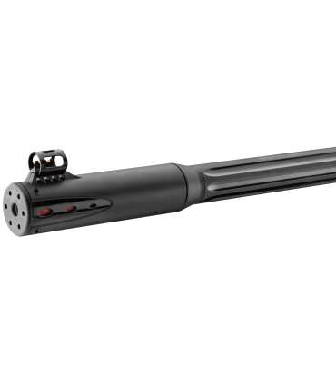 Carabine à Air comprimé Roadster IGT 10x Gen2 | Gamo
