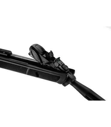 Carabine à Air comprimé Roadster IGT 10x Gen2 | Gamo