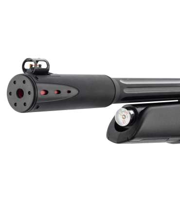 Carabine PCP Arrow + lunette | Gamo