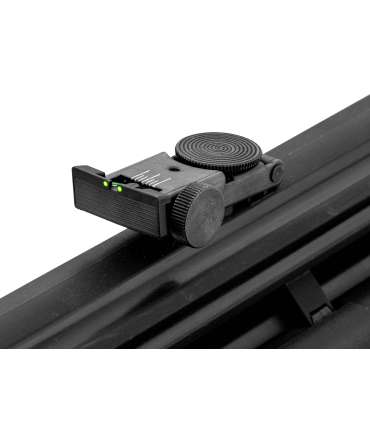 Carabine PCP Arrow + lunette | Gamo