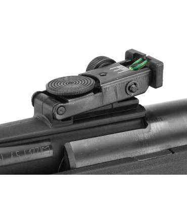 Carabine à Air Comprimé 29J Black Fusion IGT + Lunette | Gamo