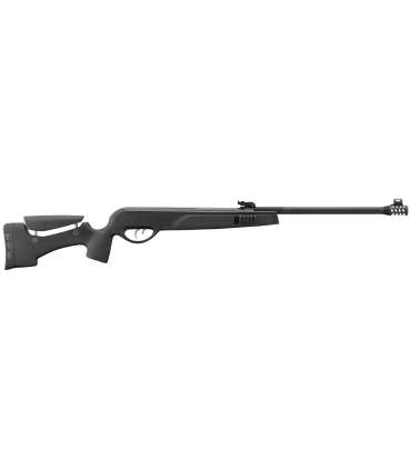 Carabine à Air Comprimé Tactical Storm + Lunette| Gamo
