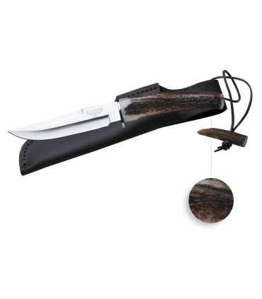 Couteau de chasse Wolf 14CM Bois de Cerf | Joker