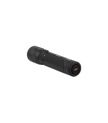 Lampe HL2500 | Blaser