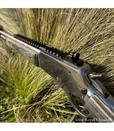 Carabine R95 Lamine gris | Rossi