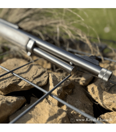 Carabine R95 Lamine gris | Rossi