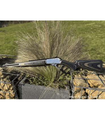 Carabine R95 Lamine gris | Rossi